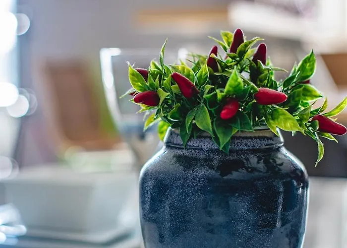 Le Vincennes, Simple Et Atypique ! *