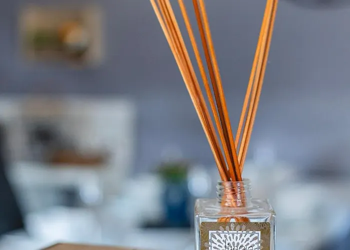 Le Vincennes, Simple Et Atypique ! 펜션